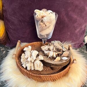 Decorative Starfish, Seashell and Coral Set